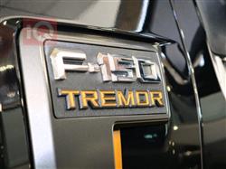 فۆرد F-150